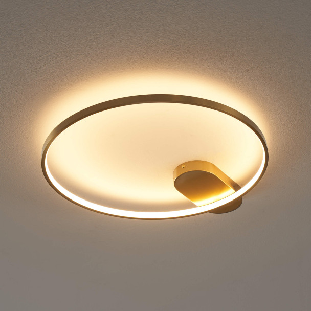 Círculo iluminado de 50 cm de diámetro - Evelia