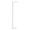 Lámpara LED con base estable y diseño limpio - Ephan