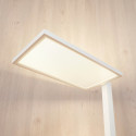 Lámpara LED con cabezal orientado hacia el techo - Ephan